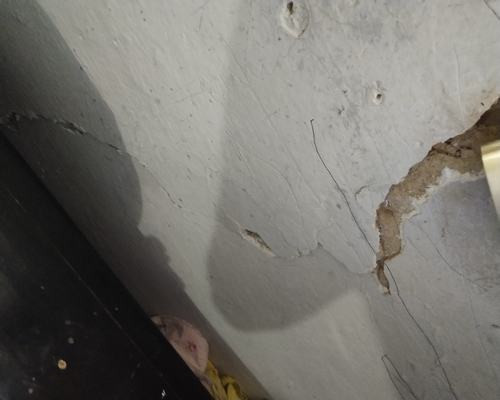 �ό����ݵȼ���ô�b����������